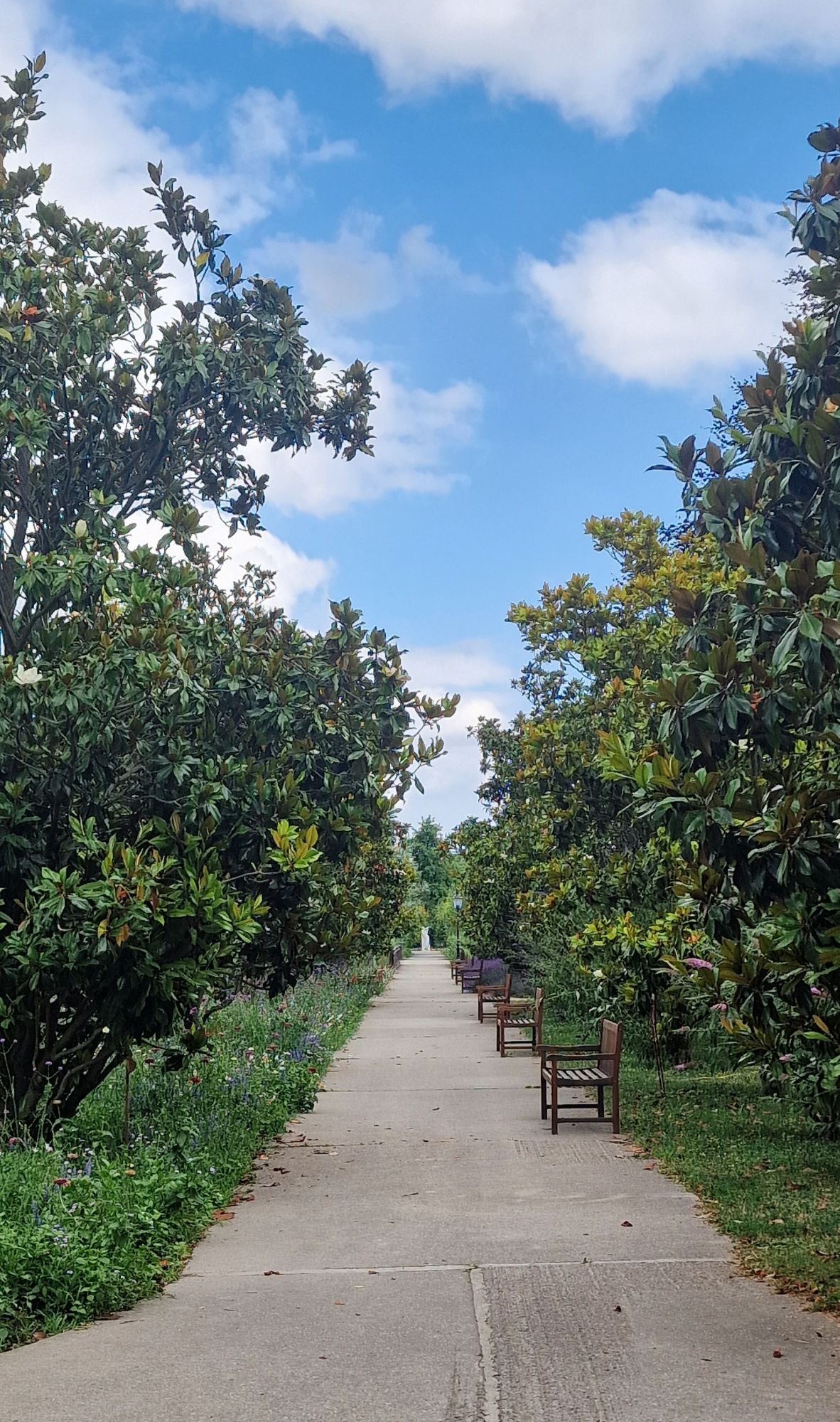 Weg in den Blumengärten Hirschstetten 